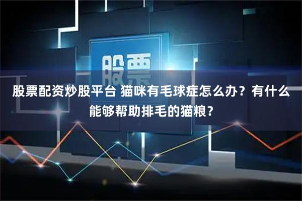 股票配资炒股平台 猫咪有毛球症怎么办？有什么能够帮助排毛的猫粮？
