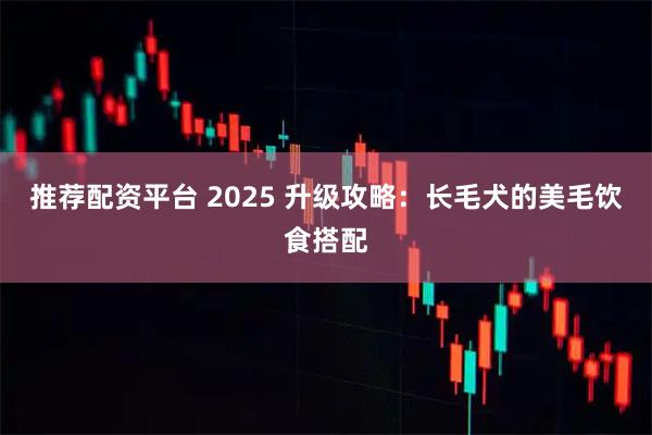 推荐配资平台 2025 升级攻略：长毛犬的美毛饮食搭配