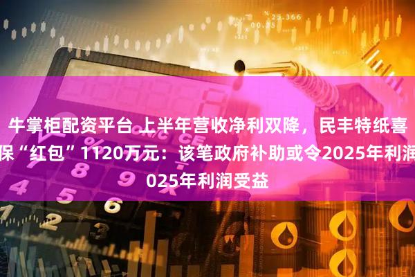 牛掌柜配资平台 上半年营收净利双降，民丰特纸喜收环保“红包”1120万元：该笔政府补助或令2025年利润受益